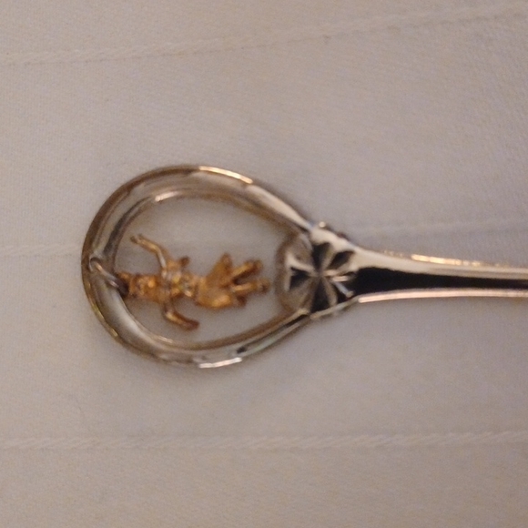 Vintage American Motif Collector Spoons- Set of 16 - Picture 6 of 16